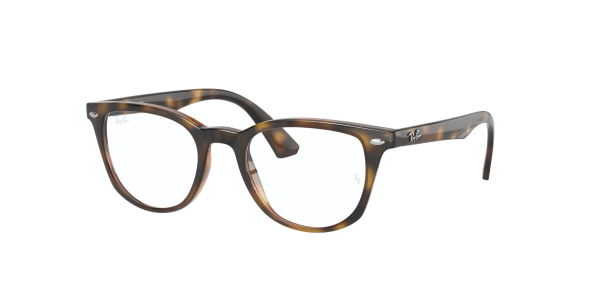 Оправа Ray Ban 1601 3685 48