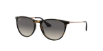 Солнцезащитные очки Ray Ban 9060S 704911 50