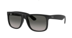 Солнцезащитные очки Ray Ban 4165 601/8G 55 Б