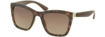 Солнцезащитные очки DACKOR 651-Brown