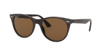 Солнцезащитные очки Ray Ban 2185 902/57 55