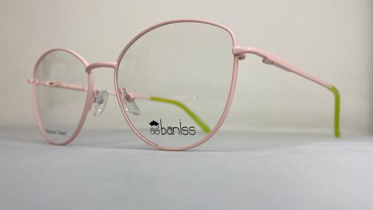 Оправа BANISS BR5088 с03 П