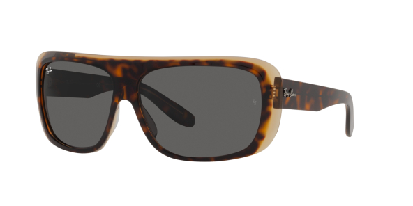 Солнцезащитные очки Ray Ban 2196 1292B164