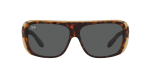 Солнцезащитные очки Ray Ban 2196 1292B164