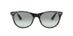 Солнцезащитные очки Ray Ban 2185 1250AD 55