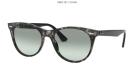 Солнцезащитные очки Ray Ban 2185 1250AD 55