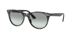 Солнцезащитные очки Ray Ban 2185 1250AD 55