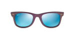 Солнцезащитные очки Ray Ban 2140 6112/17 50