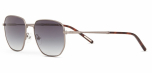 Солнцезащитные очки CERRUTI 1883 80033 (C4)