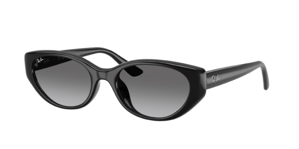 Солнцезащитные очки Ray Ban 4457D 667711 55