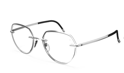 Оправа Silhouette L023_75 6560 49/19