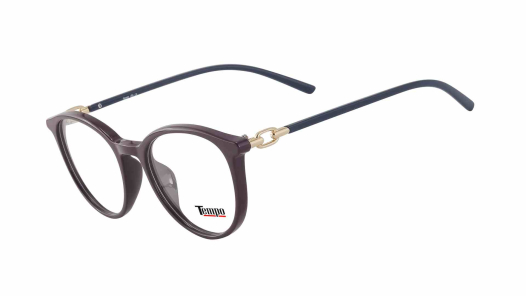 Оправа ТЕМРО 7717 c2