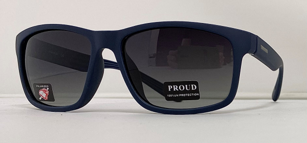 Солнцезащитные очки PROUD 90253 C3