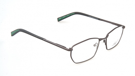 Оправа LEOSOFF TH1782 C3