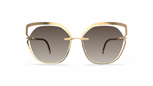 Солнцезащитные очки Silhouette 8181 7520