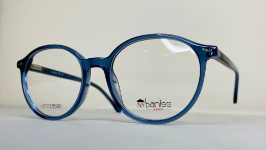 Оправа BANISS BS9028 c03 П