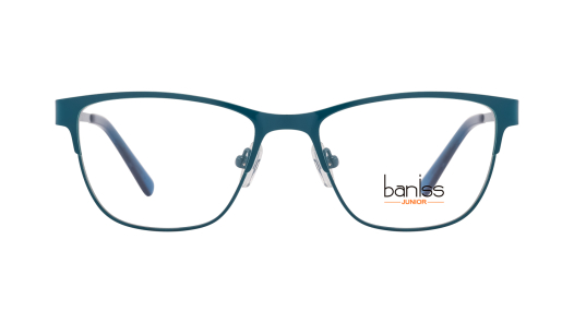 Оправа BANISS BRJ2126 c02 П