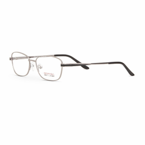 Оправа DESPADA CLUB 5179 (C 1)