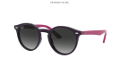 Солнцезащитные очки Ray Ban 9064S 70218G 44