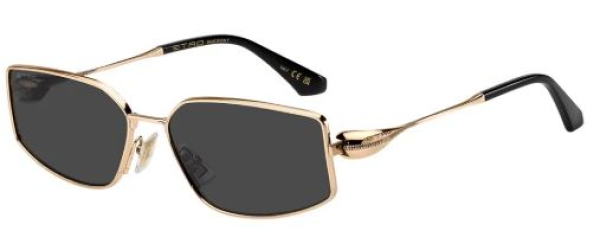 Солнцезащитные очки ETRO 0137/S 000 IR