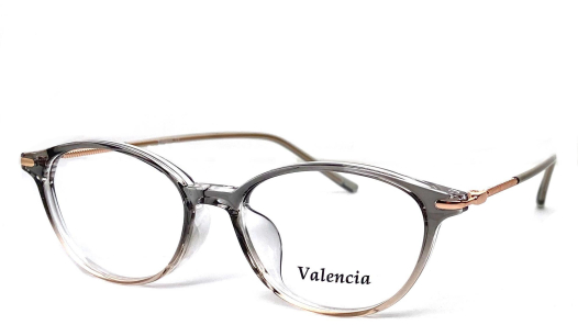Оправа Valencia TJ5802 с8