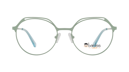 Оправа BANISS BR5076 c03 П