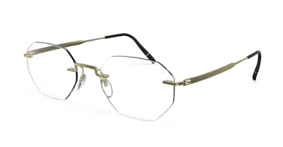 Оправа Silhouette 5586_PA 8540 49/20