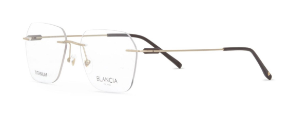 Оправа BLANCIA 442 (C4)