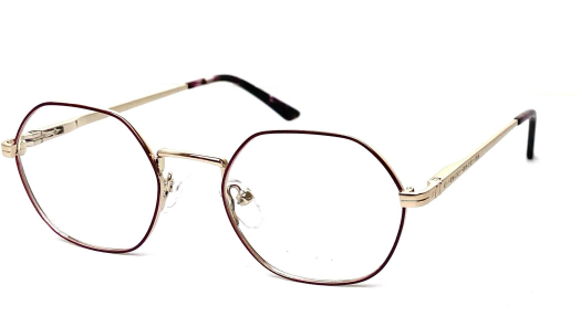 Оправа RedSun 1233 c5