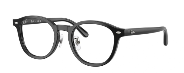 Оправа Ray Ban 5443D 2000 49