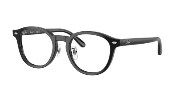 Оправа Ray Ban 5443D 2000 49