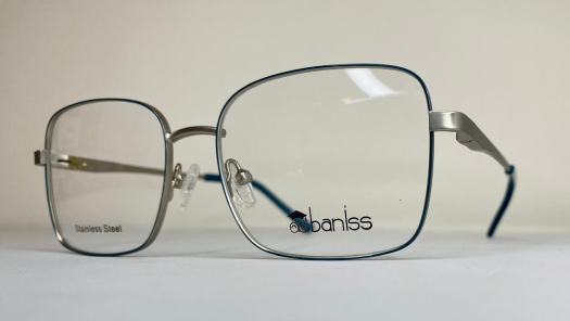 Оправа BANISS BR5079 c02 П