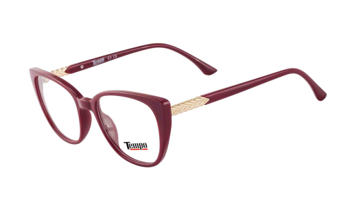 Оправа TEMPO 7713 c2