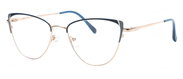 Оправа SENSE EYEWEAR WX-M-21014-03