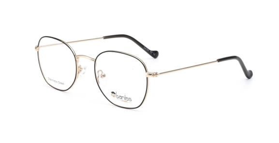 Оправа BANISS BY1012 c02