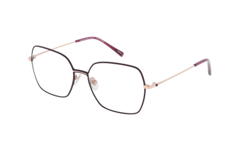 Оправа RUUD VAN DYKE 1631T-9