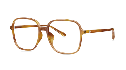 Оправа BOLON BJ 5108 B20