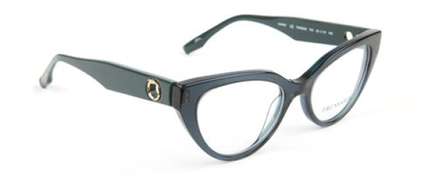Оправа TRUSSARDI TSW6062 T04