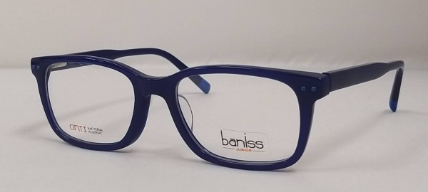 Оправа BANISS BSJ6070 C03 П