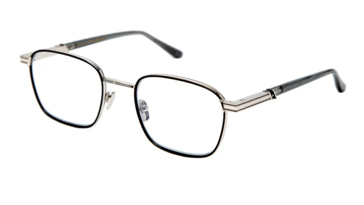 Оправа Leisure Society LS-Salton SILVER/SMK