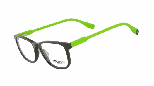 Оправа BANISS BS9022 c03 П