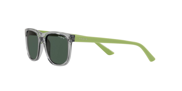 Солнцезащитные очки VOGUE 2008 290371 47