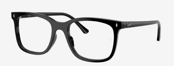 Оправа Ray Ban 5446 2000 53