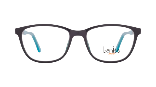 Оправа BANISS BSJ5106 с02 П