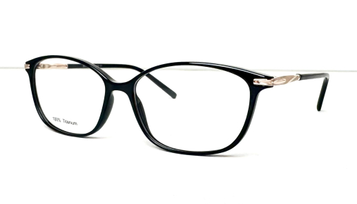 Оправа BLANCIA 485 (C1)