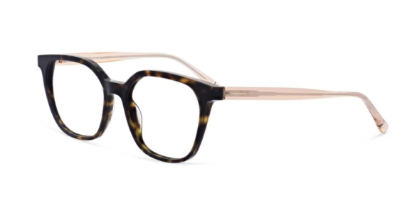 Оправа MOREL 20234KTP2154