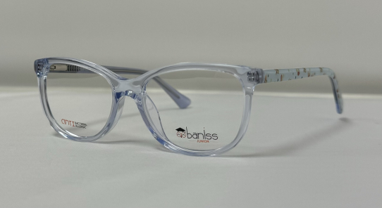 Оправа BANISS BSJ5142 c02