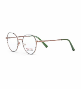 Оправа DESPADA CLUB 5310 (C 4)