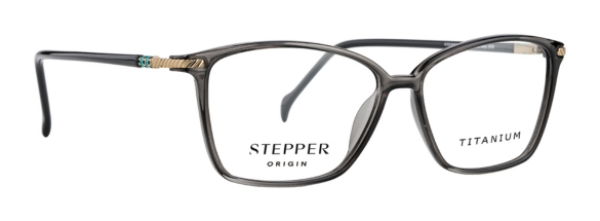 Оправа STEPPER 30258 F910