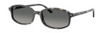 Солнцезащитные очки Ray Ban 2232 133371 54